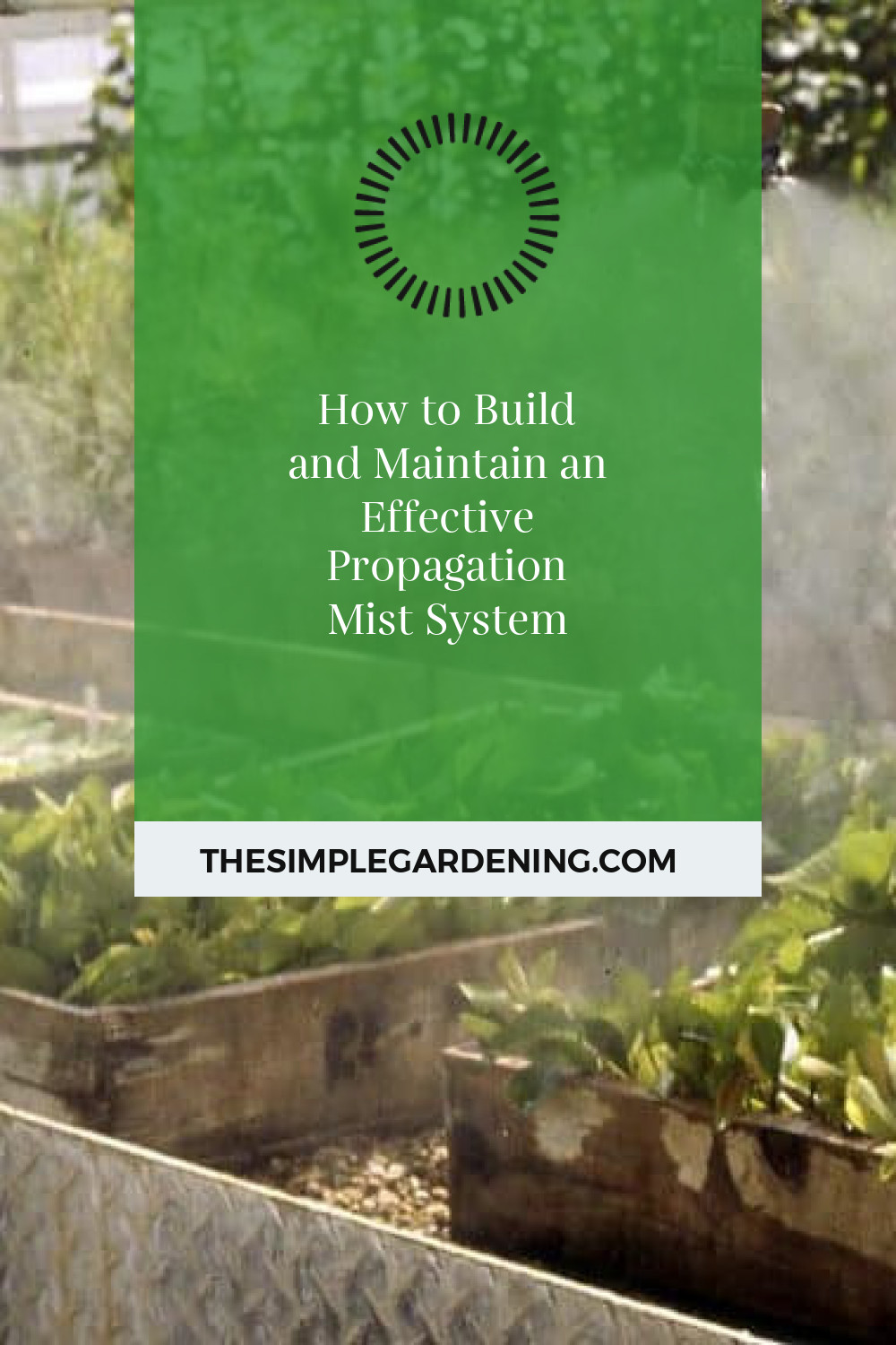 How to Build and Maintain an Effective Propagation Mist System